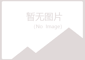 河源冰夏计算机有限公司